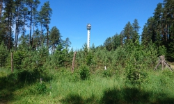 1528535196297-efb33345-41f0-4dca-bd03-89f977c1ff77